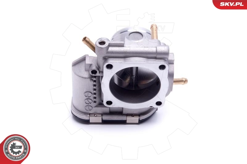 Throttle Body 12SKV114