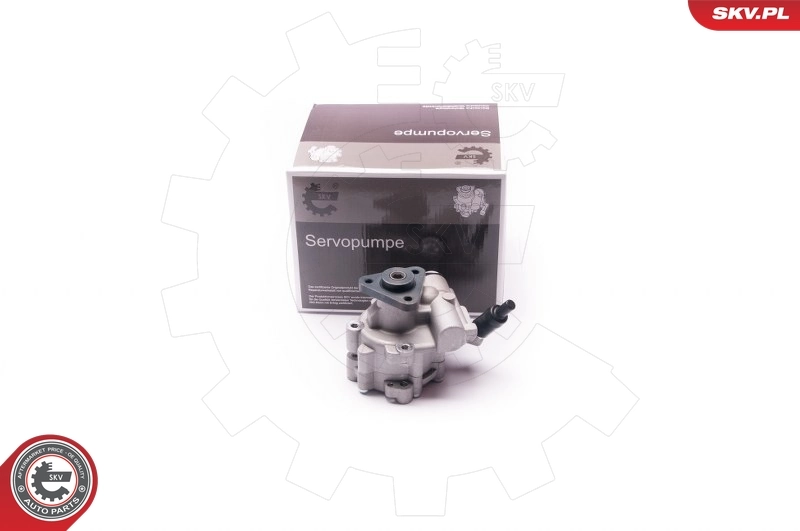 Hydraulic Pump, steering 10SKV030