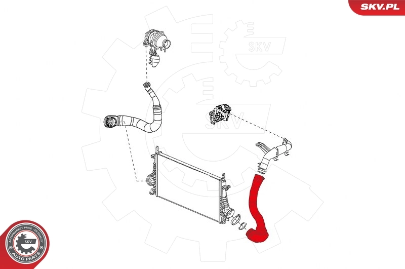 Charge Air Hose 24SKV680