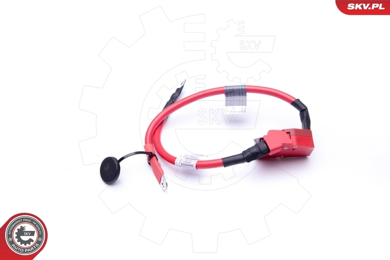 ESEN SKV 96SKV303 Battery Adapter