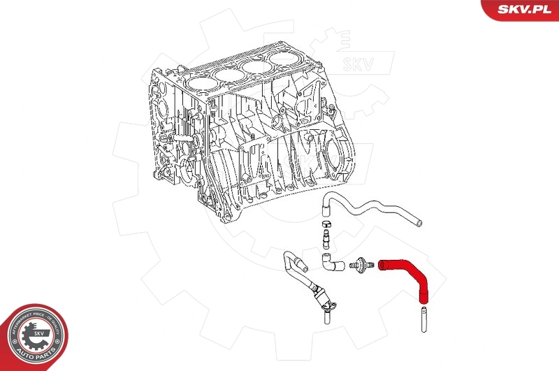 Hose, crankcase ventilation 31SKV128