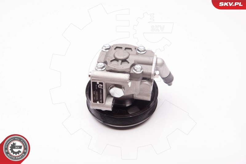 Hydraulic Pump, steering 10SKV238