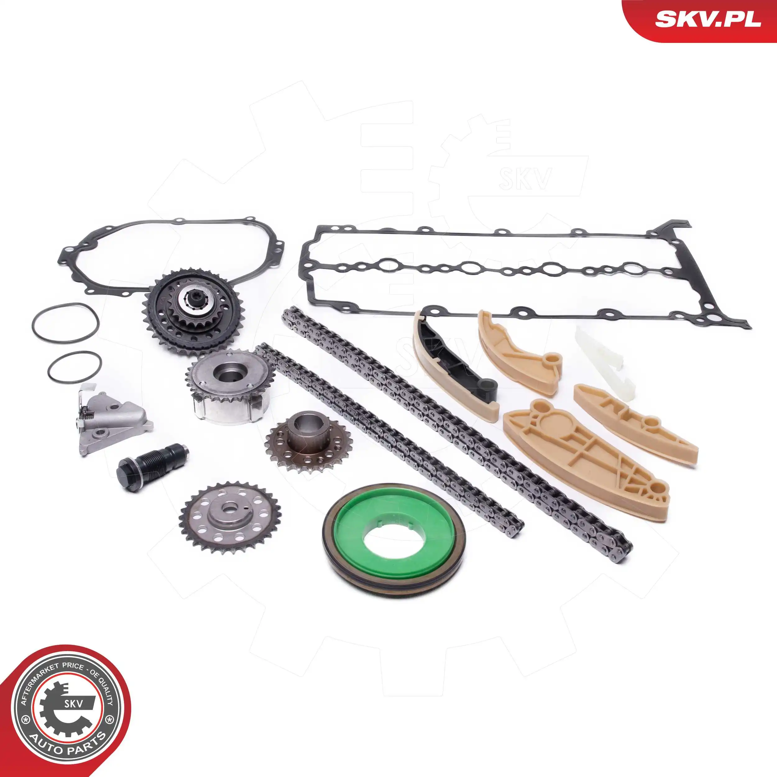 Timing Chain Kit 21SKV251