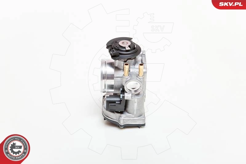 Throttle Body 12SKV026