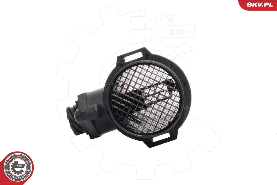 Mass Air Flow Sensor 07SKV004