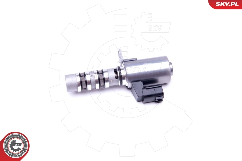 Control Valve, camshaft adjustment 39SKV051