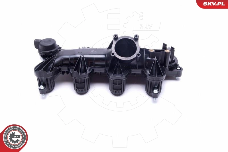 Intake Manifold Module 49SKV065