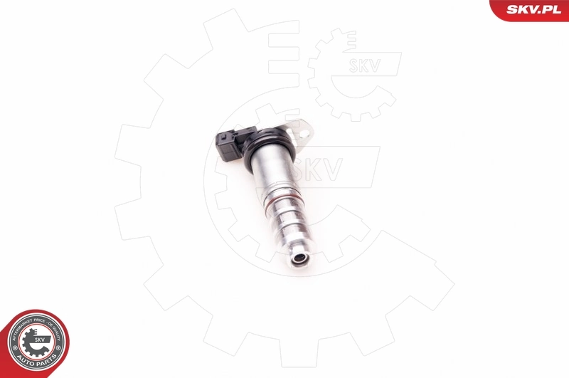 Control Valve, camshaft adjustment 39SKV014
