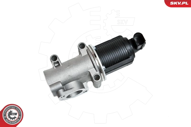 EGR Valve 14SKV006