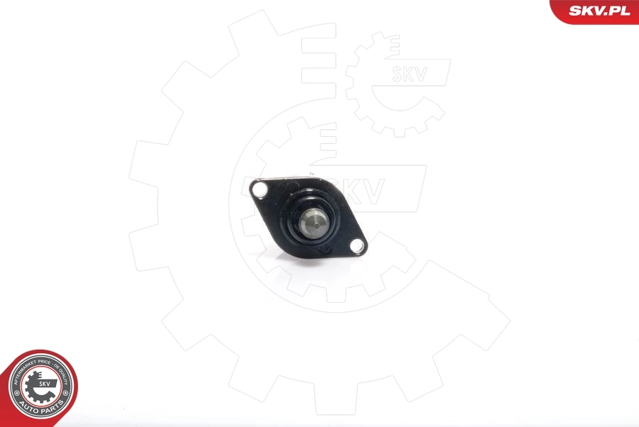 Idle Control Valve, air supply 08SKV030