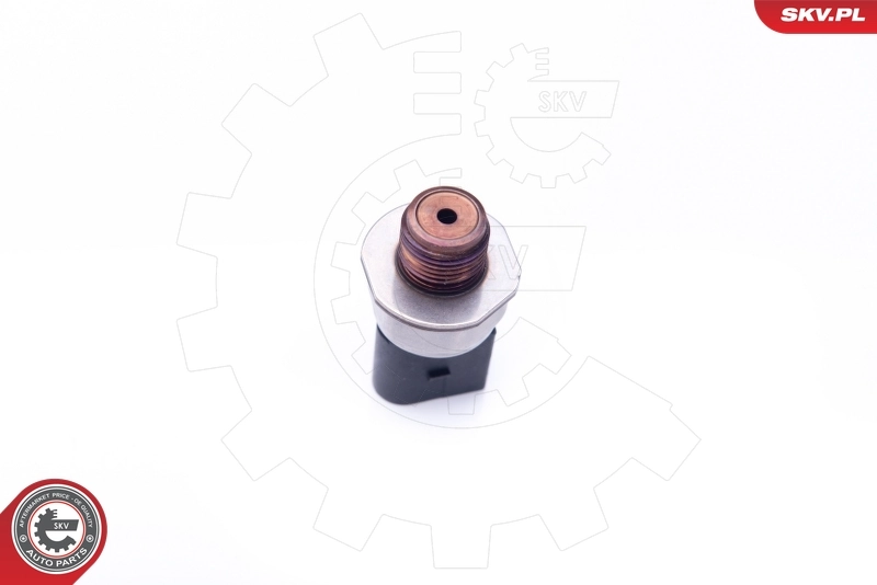Sensor, fuel pressure 17SKV409