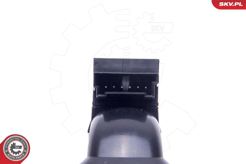 ESEN SKV 16SKV520 Switch, tailgate release