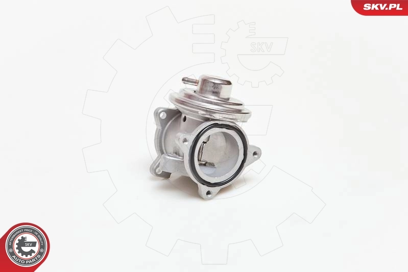 EGR Valve 14SKV034