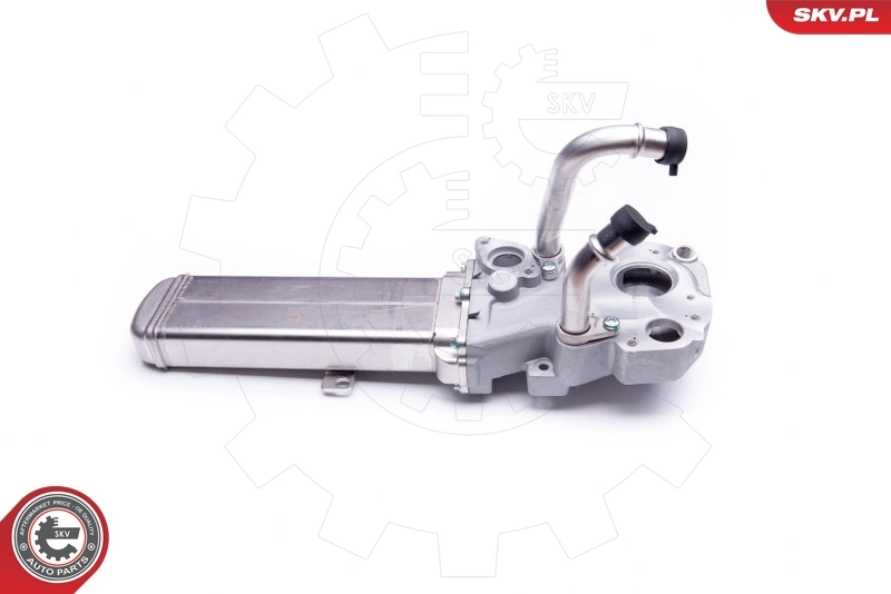 EGR Valve 14SKV137