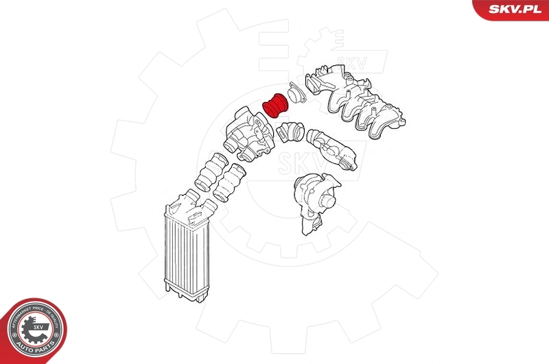 Charge Air Hose 24SKV788