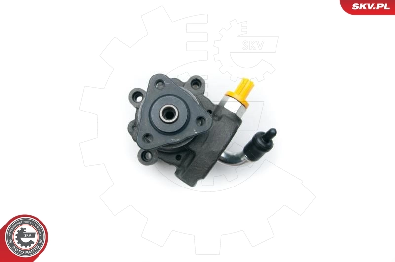 Hydraulic Pump, steering 10SKV191