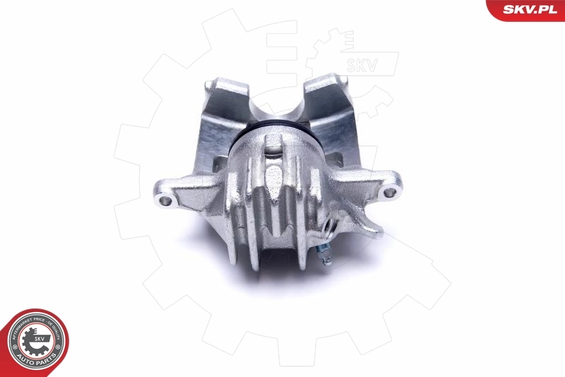 Brake Caliper 50SKV951