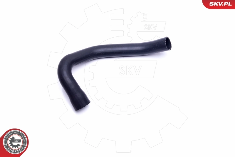 Radiator Hose 43SKV615