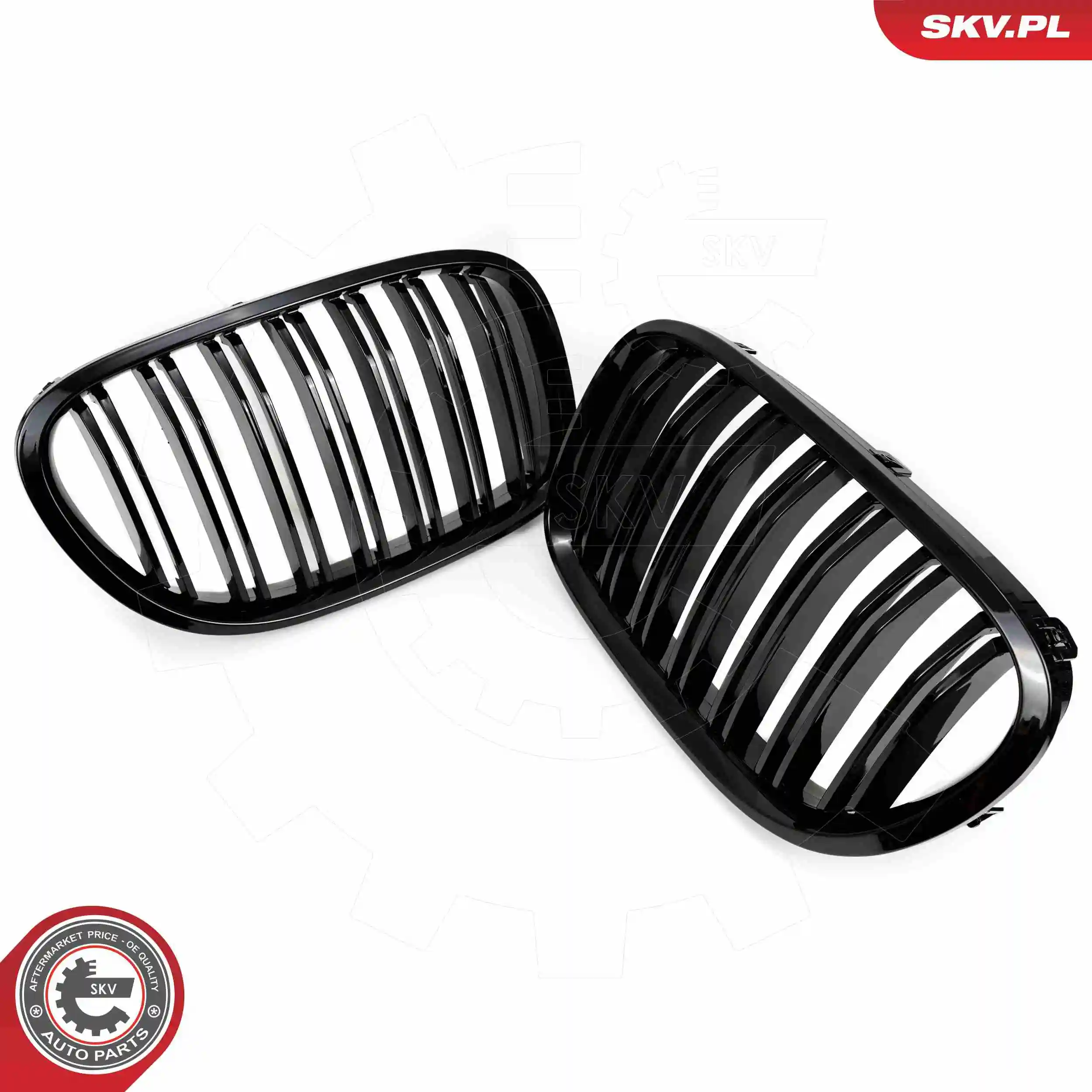 ESEN SKV 66SKV219 Radiator Grille