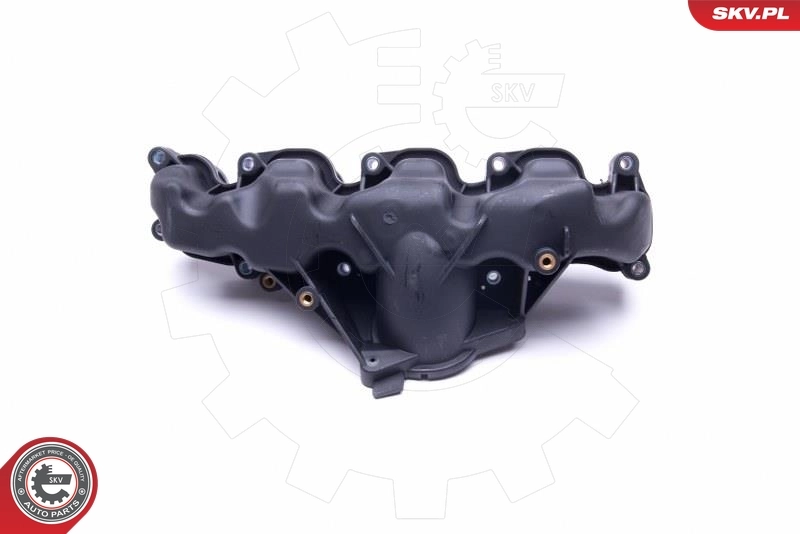 Intake Manifold Module 49SKV041