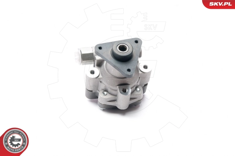 Hydraulic Pump, steering 10SKV227