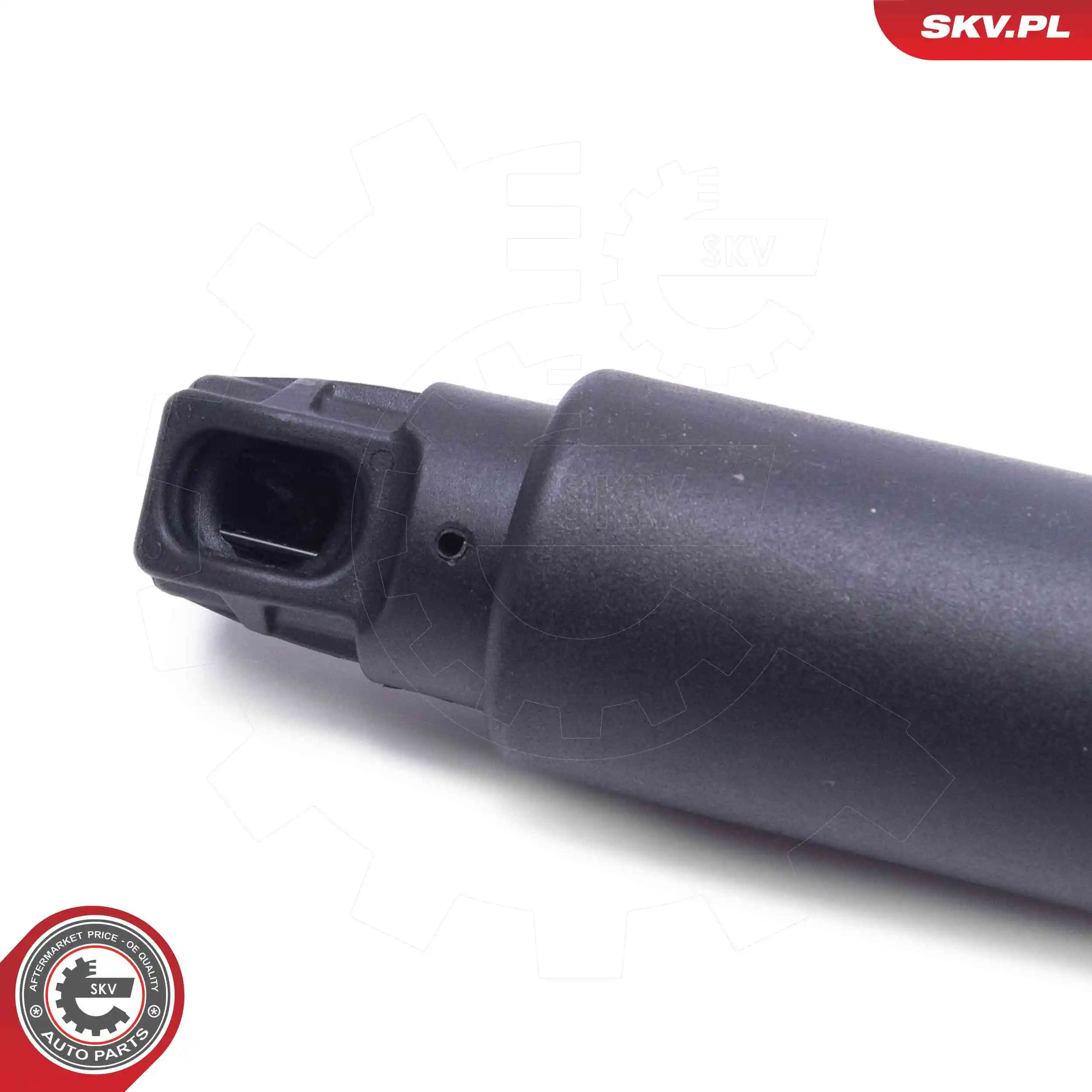 ESEN SKV 52SKV969 Electric Motor, tailgate