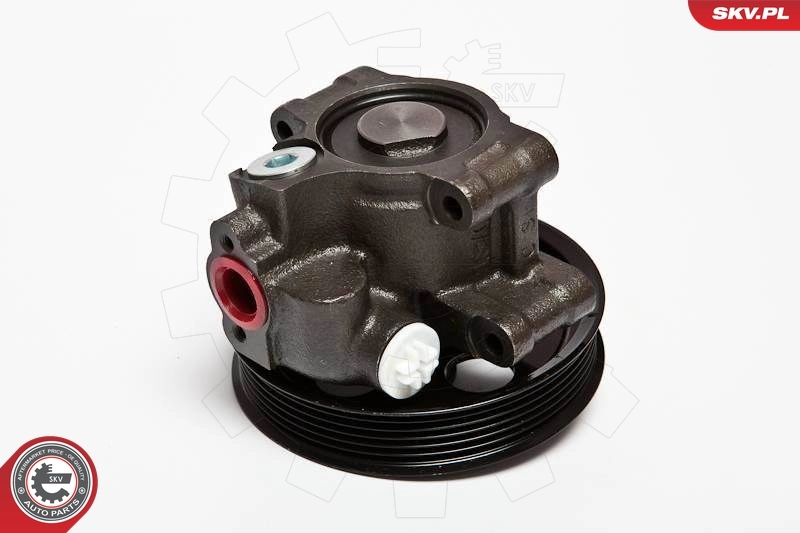 Hydraulic Pump, steering 10SKV067