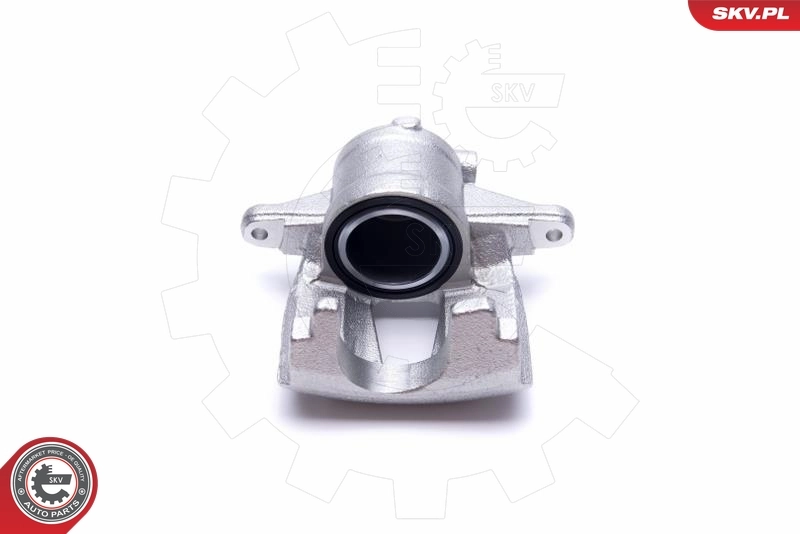 Brake Caliper 55SKV912