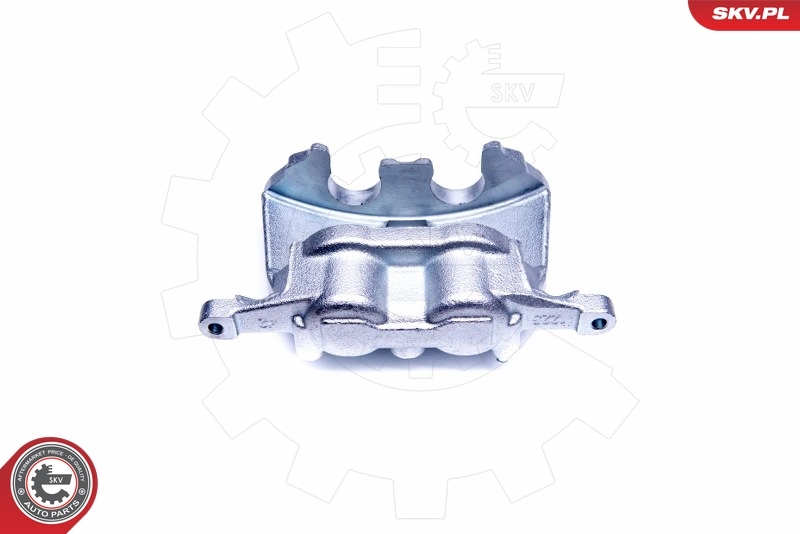 Brake Caliper 44SKV201