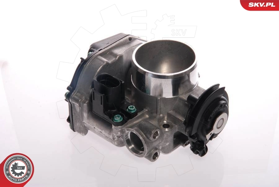 Throttle Body 12SKV013
