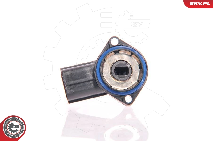 Sensor, throttle position 17SKV014