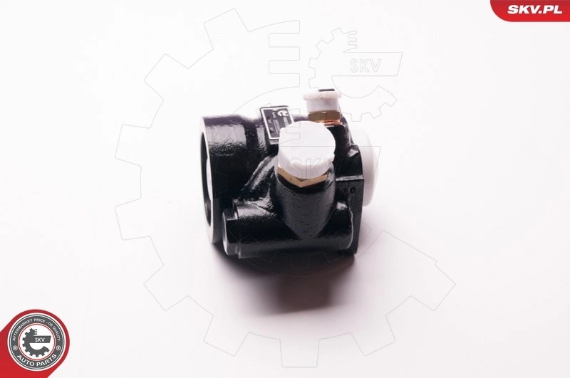 ESEN SKV 1SKV0001 Hydraulic Pump, steering