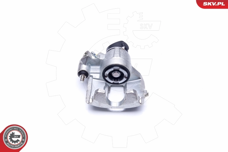 Brake Caliper 45SKV071