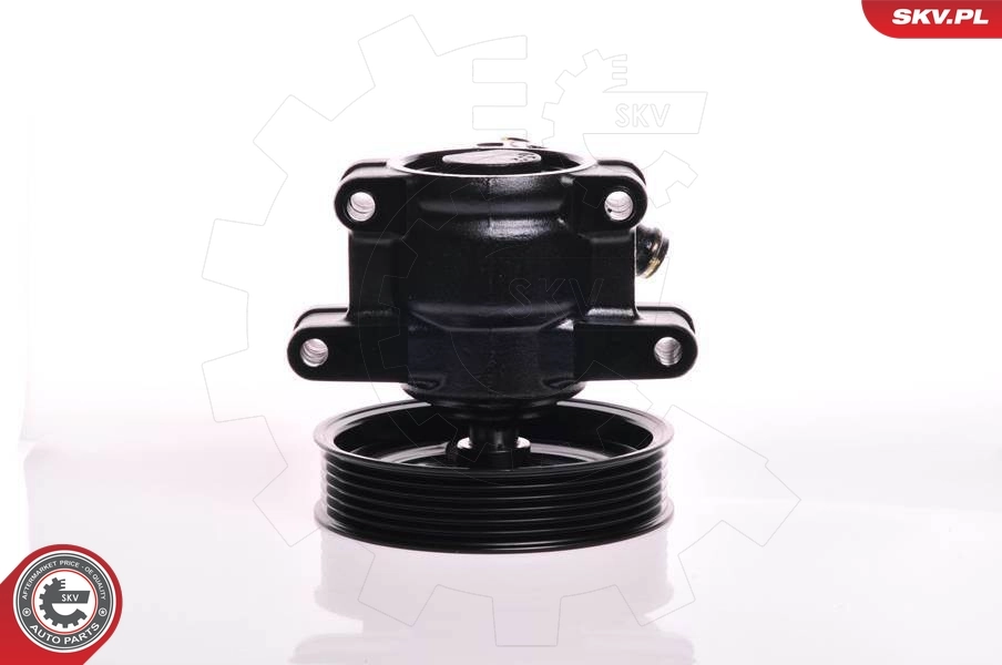 Hydraulic Pump, steering 10SKV150