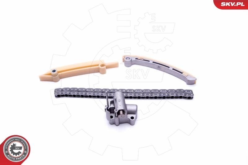 Timing Chain Kit 21SKV165