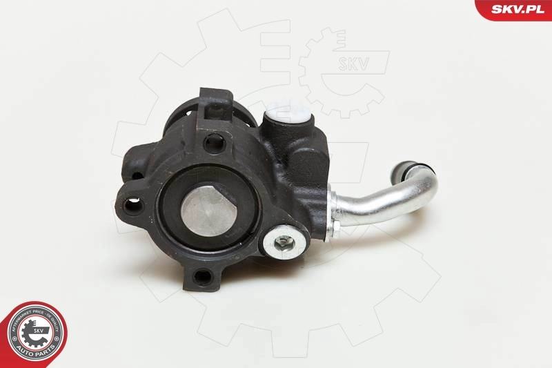 Hydraulic Pump, steering 10SKV036