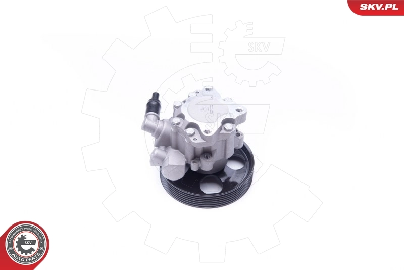 Hydraulic Pump, steering 10SKV240