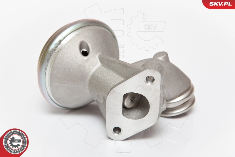 EGR Valve 14SKV075