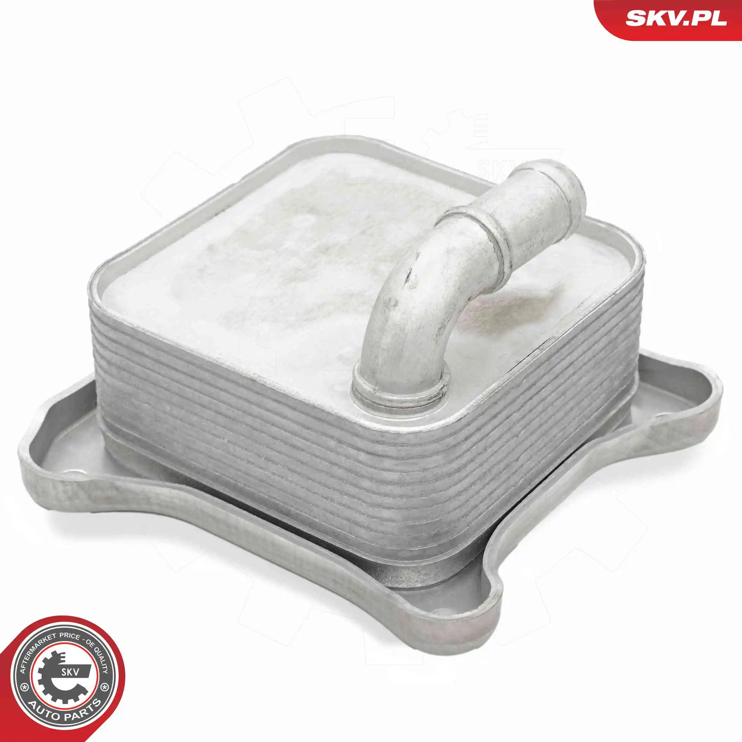 Oil Cooler, engine oil 31SKV289