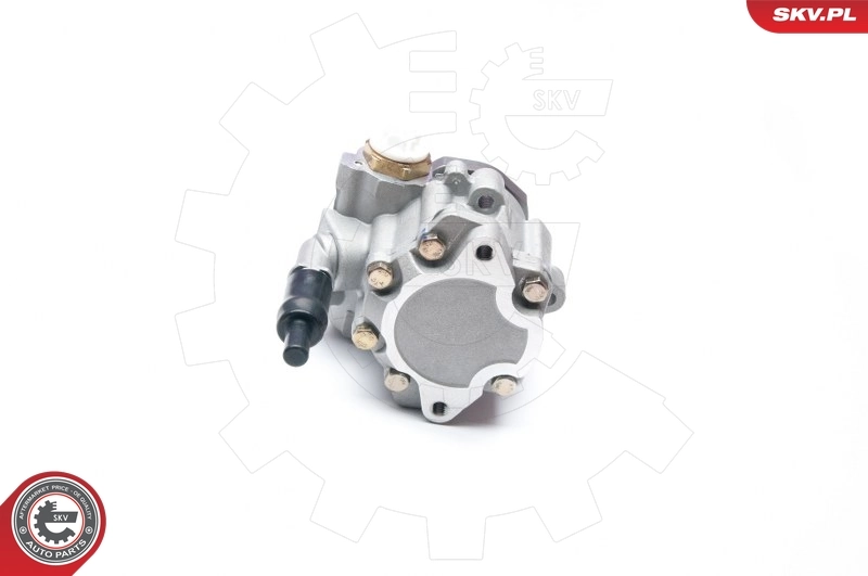 Hydraulic Pump, steering 10SKV230