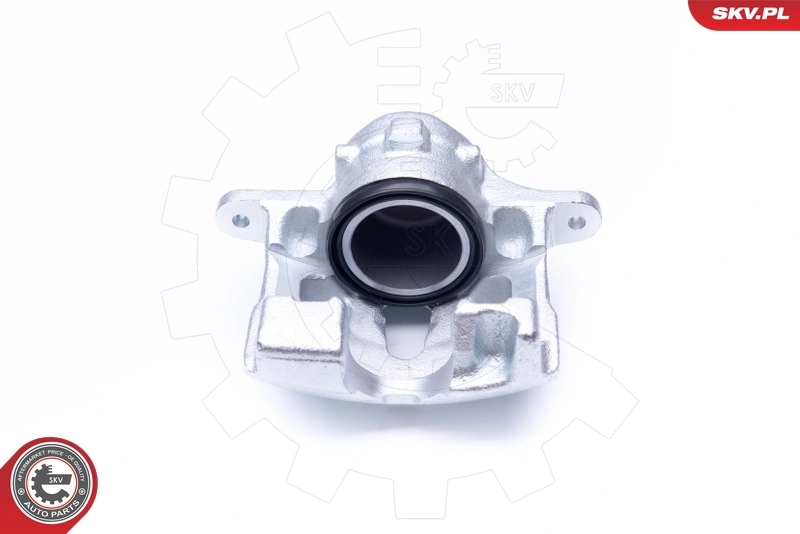 Brake Caliper 34SKV421