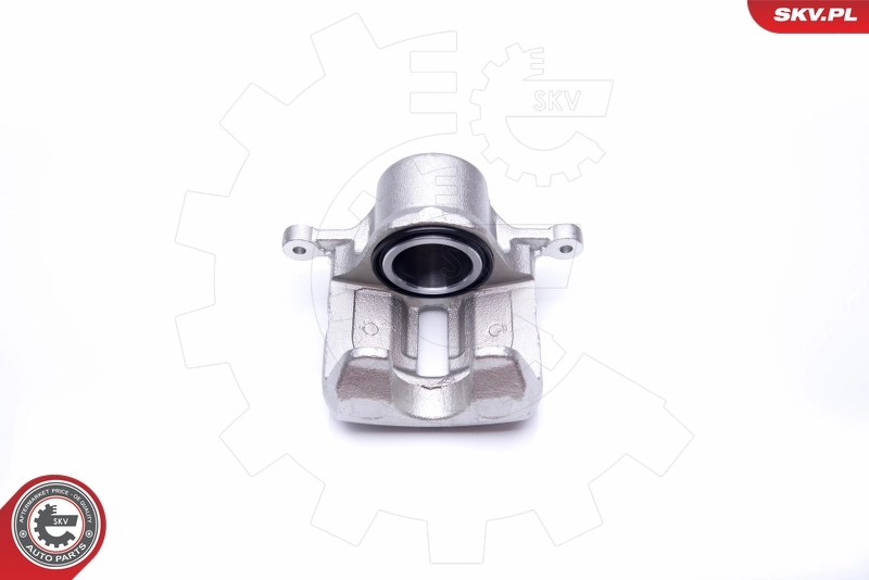 Brake Caliper 42SKV431