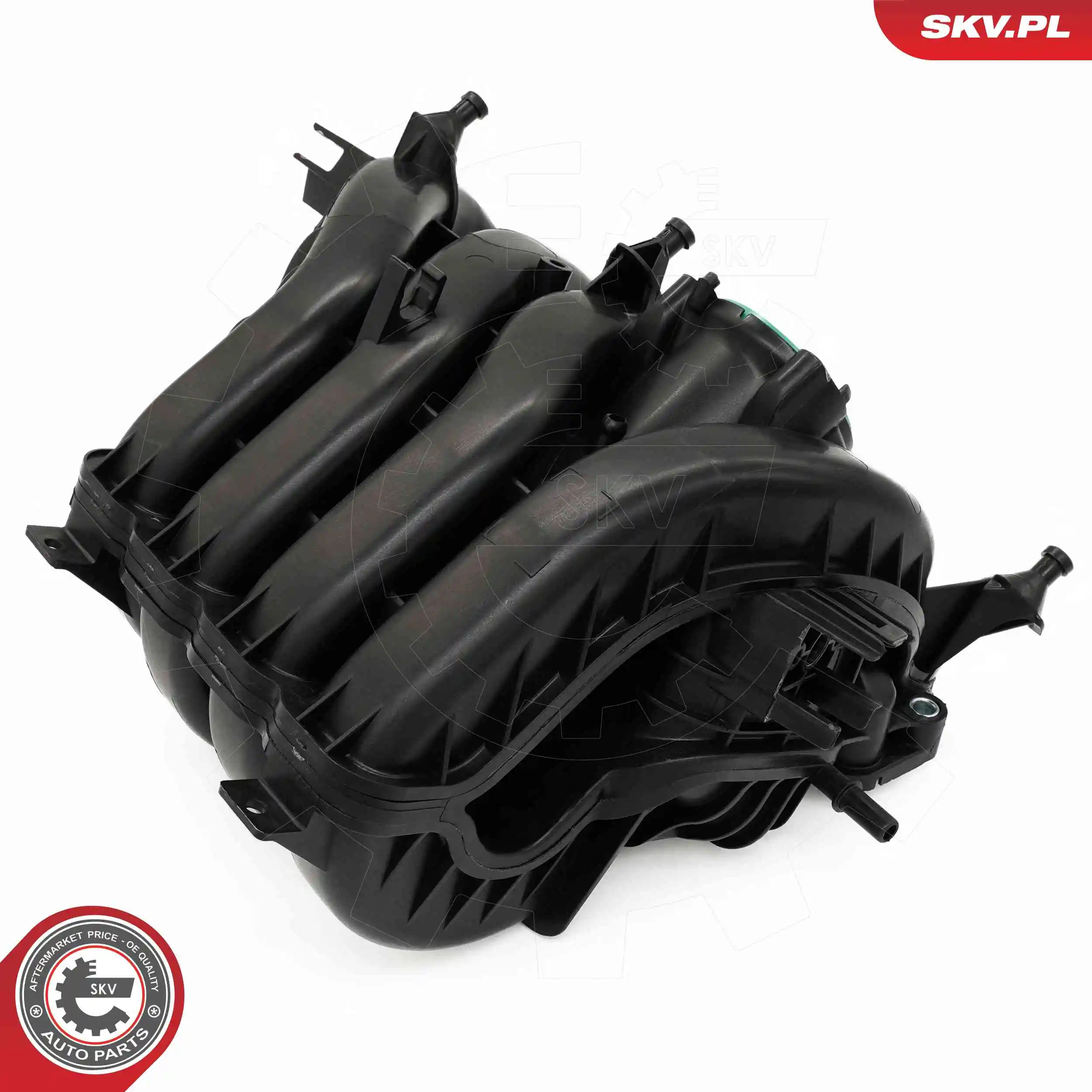 Intake Manifold Module 49SKV087