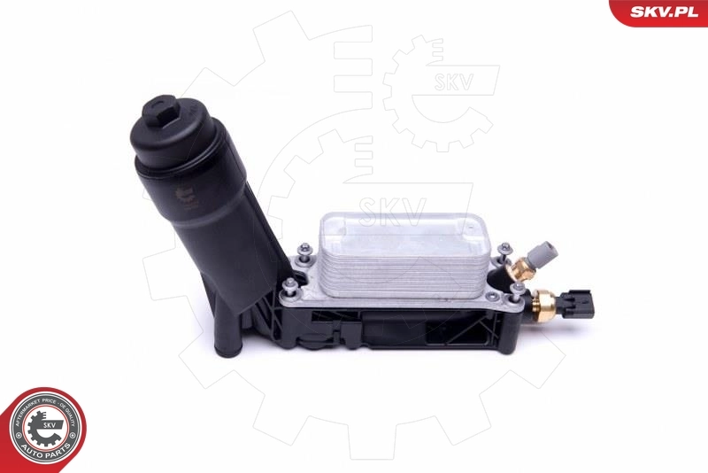 Oil Cooler, engine oil 31SKV172