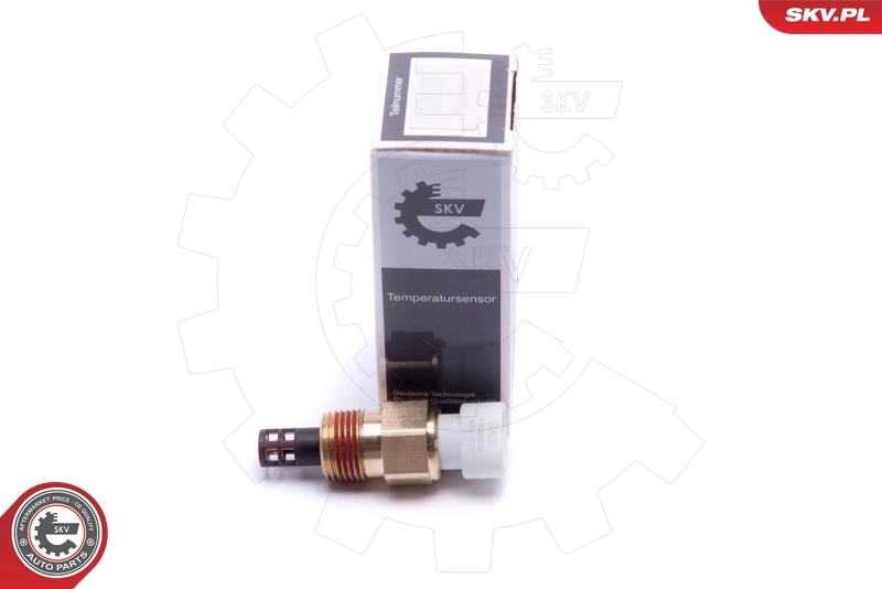 Sensor, intake air temperature 17SKV678
