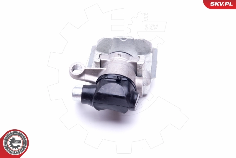 Brake Caliper 42SKV103