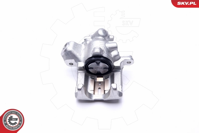Brake Caliper 46SKV324