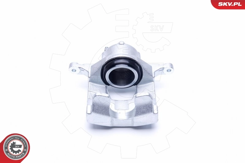 Brake Caliper 44SKV221