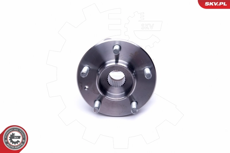 ESEN SKV 29SKV350 Wheel Bearing Kit