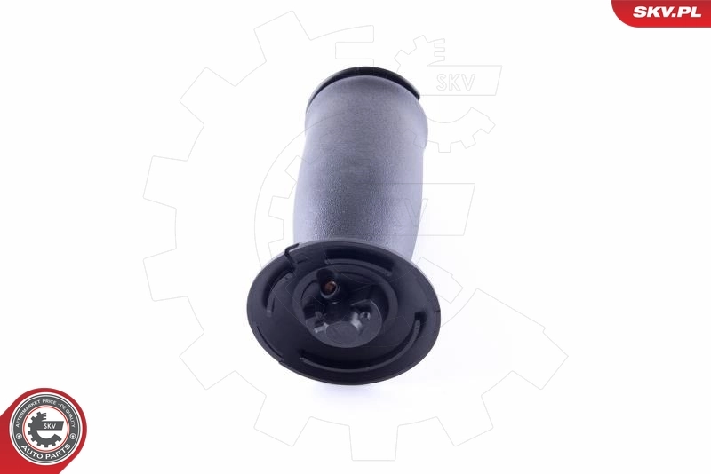 Air Spring, suspension 58SKV021